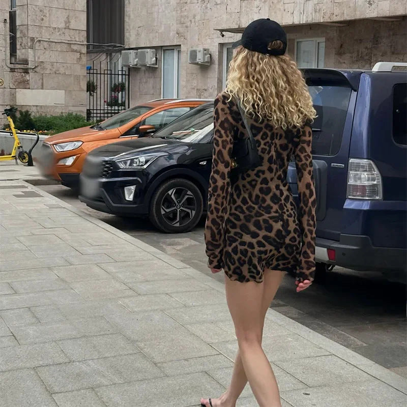 Long Sleeve Leopard Print Street Dress